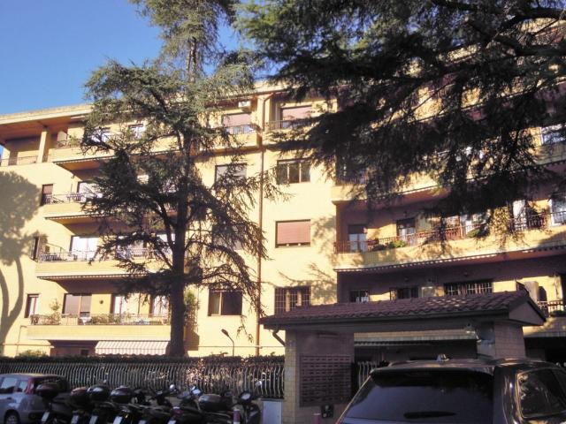 Monolocale in affitto a Municipio Roma XIV, Roma Capitale