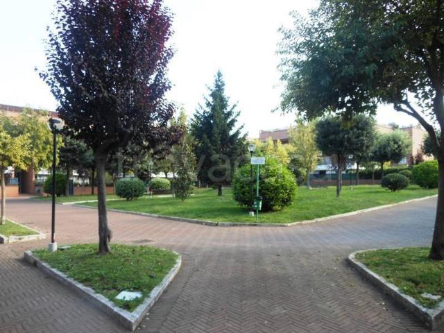 Monolocale in affitto a Municipio Roma IX, Roma Capitale