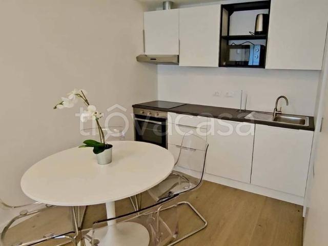 Monolocale in affitto a Città Nuova-Barriera Nuova-San Vito-Città Vecchia, Villa Opicina