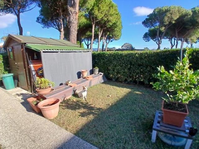 Monolocale in vendita a Rosignano Marittimo, Livorno