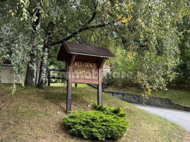 Appartamento in affitto a Comunità montana Alta Valtellina, Bormio