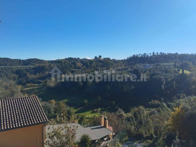 Appartamento in affitto a Montopoli In Val D'arno, Toscana