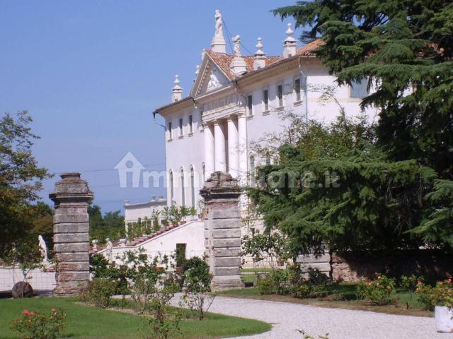 Appartamento in affitto a Vedelago, Veneto