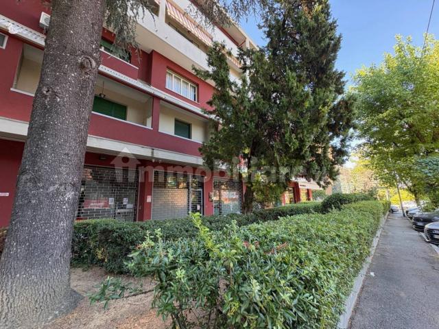 Appartamento in affitto a Monte Donato, Bologna