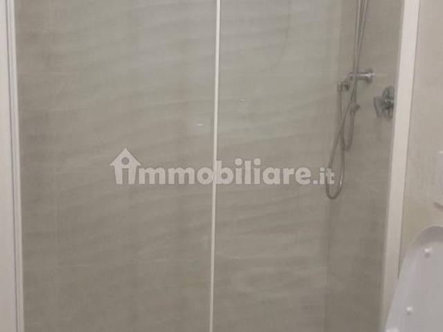 Appartamento in affitto a Castel San Giovanni, Reggio Emilia
