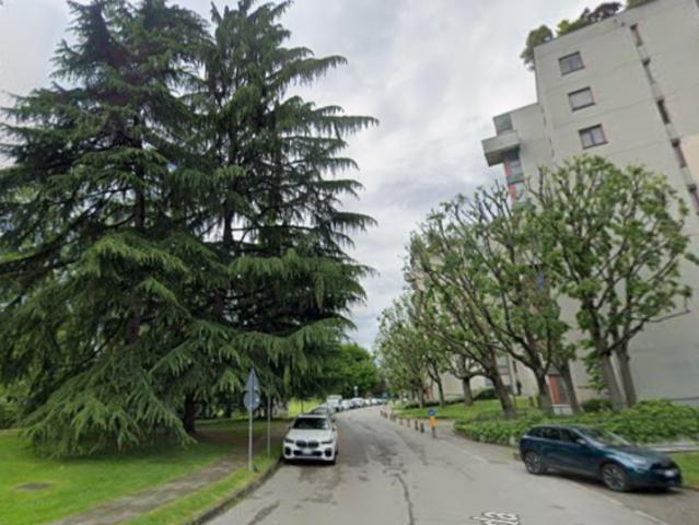 Monolocale in affitto a Segrate, Lombardia