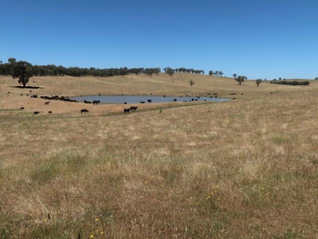 House And Land for sale in Wagga Wagga House And Land for sale in Wagga Wagga