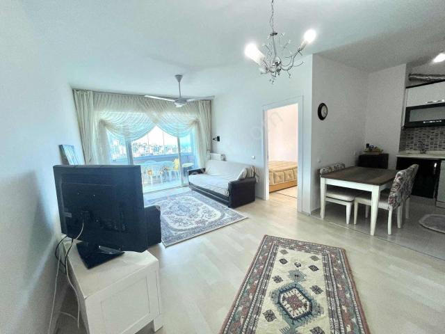 Atakum, Samsun içerisinde kiralık mülk