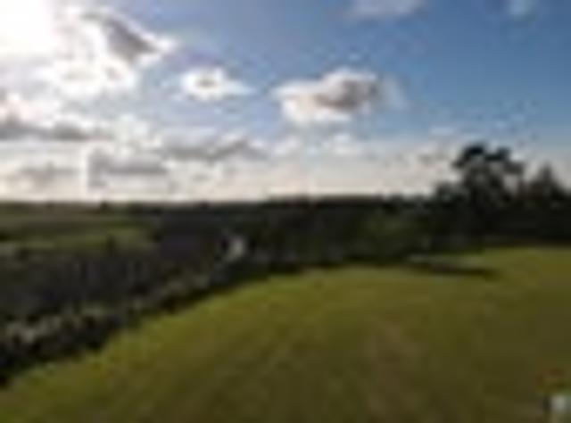 Land for sale in Tamahere, Waikato