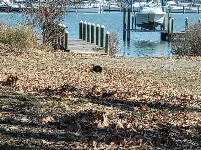 Land for sale in Colonial Beach, Westmoreland County