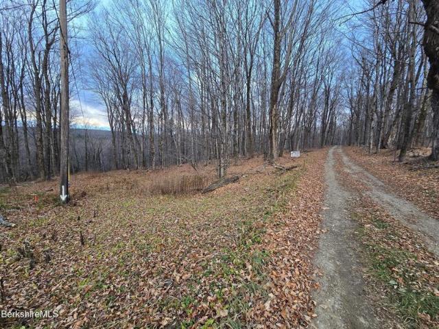 Land for sale in Florida