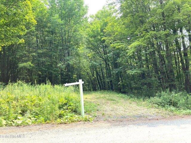 Land for sale in Florida, New York