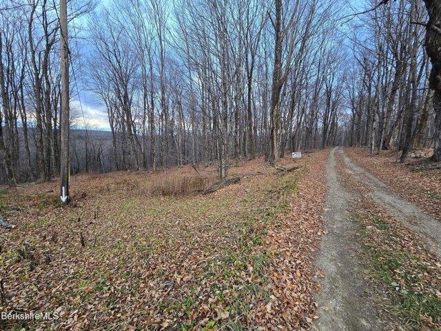 Land for sale in Florida