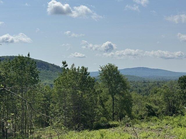 Land for sale in Winterport