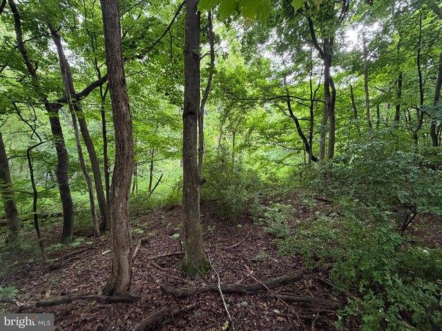 Land for sale in Bedford, Pennsylvania