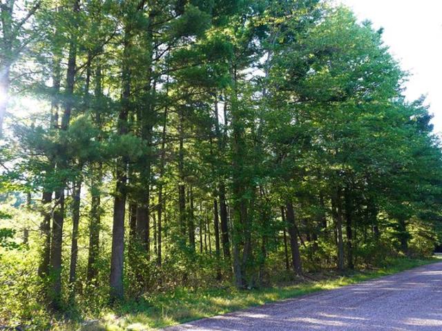 Land for sale in Merrill, Wisconsin