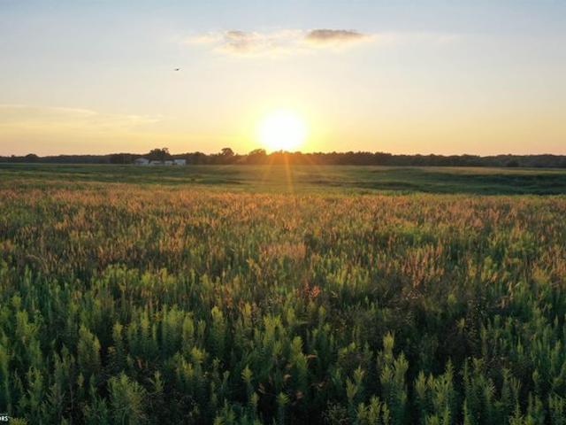 Farm for sale in Blakesburg, Iowa