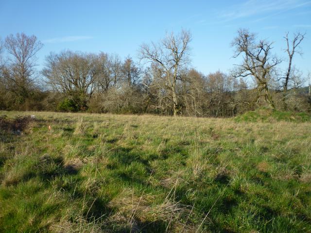 Terrain vente à Villeneuve-sur-Lot, Monsempron-libos