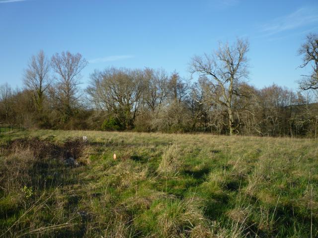 Terrain vente à Villeneuve-sur-Lot, Monsempron-libos