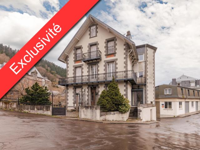 Maison vente à Issoire, Mont-dore