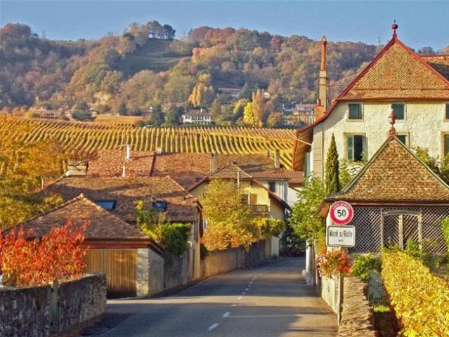 Wohnung kaufen in Mont-sur-Rolle, Waadt