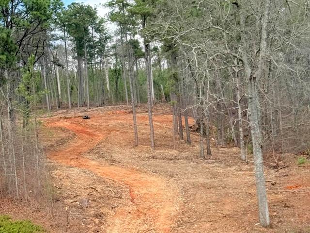 Land for sale in Eastaboga, Alabama