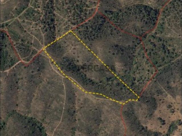 Terreno venda em Almodôvar, Beja