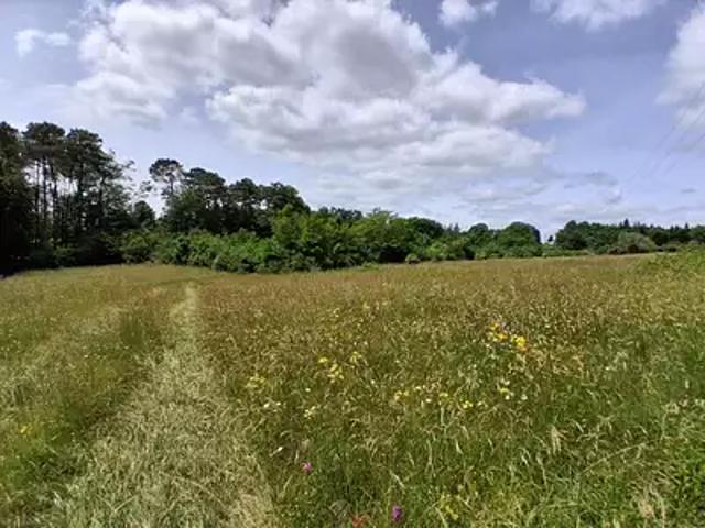 Terrain vente à Périgueux, Montagnac-la-crempse