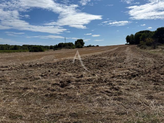 Terrain vente à Béziers, Montagnac
