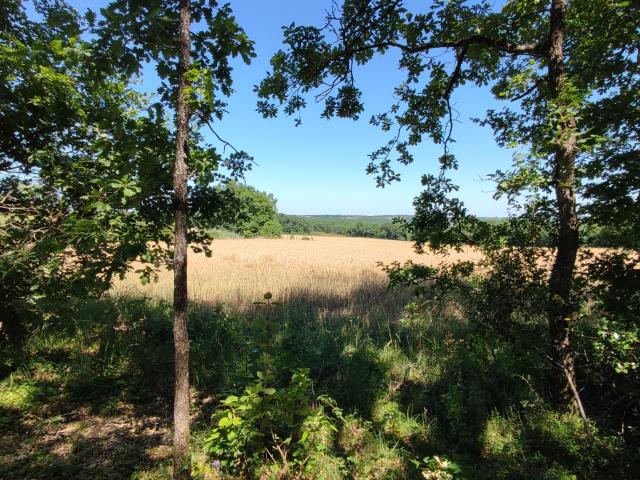 Terrain vente à Castelsarrasin, Montaigu-de-quercy