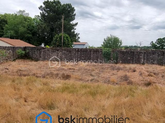 Terrain vente à France métropolitaine, Montaigu