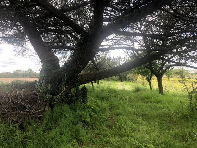 Terrain vente à France métropolitaine, Montaigu