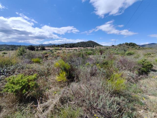 Terrain vente à Prades, Montalba-le-château