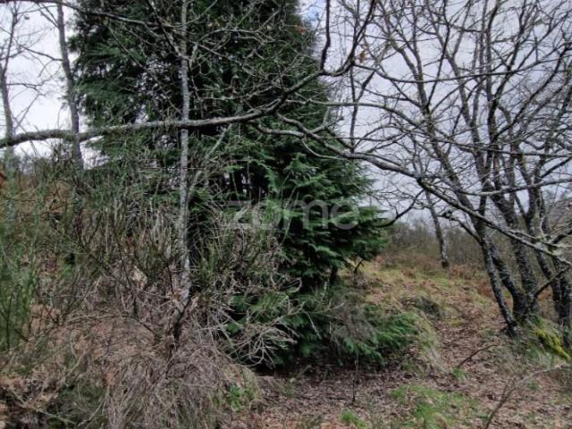 Terreno venda em Covelo Do Gerez, Vila Real