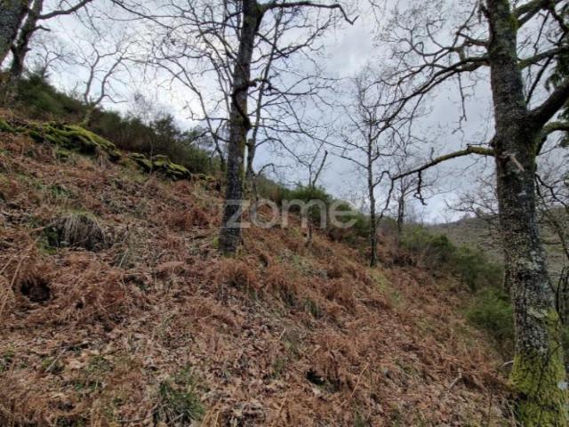Terreno venda em Montalegre, Vila Real