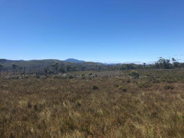 Cottage for sale in Zeehan, Tasmania