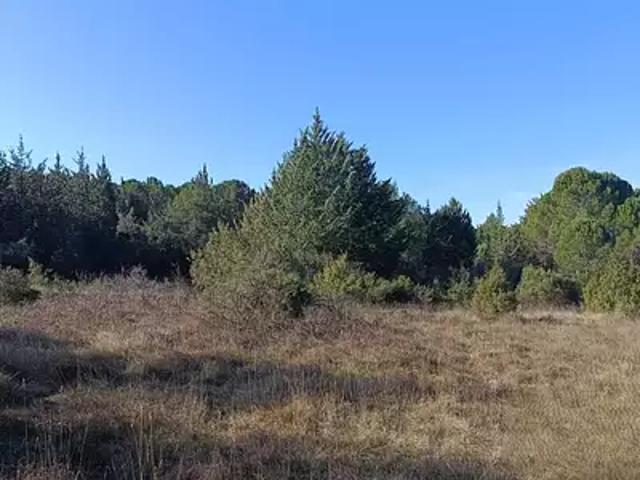 Terrain vente à Lodève, Montarnaud