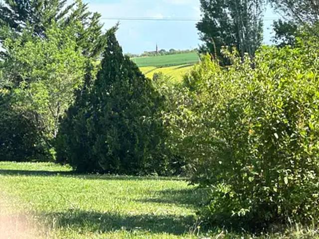 Terrain vente à Toulouse, Montastruc-la-conseillère