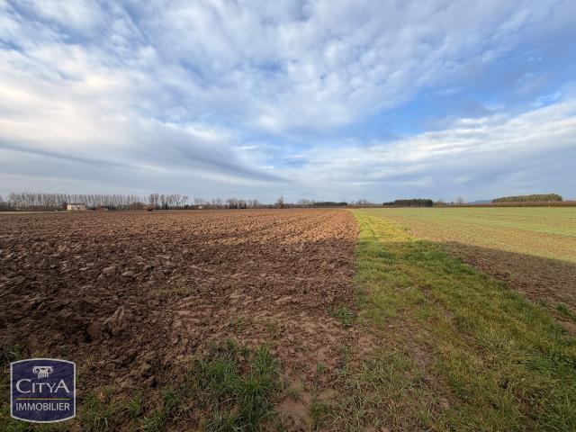 Terrain vente à Montauban, Montastruc