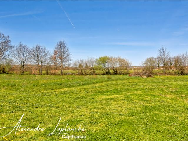 Terrain vente à Montauban