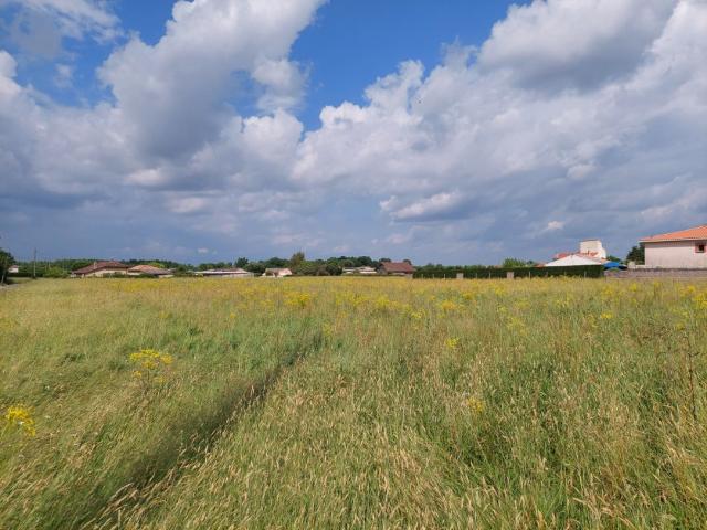 Terrain vente à Montauban