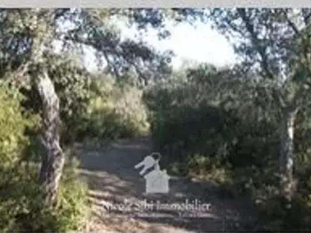 Terrain vente à Céret, Montauriol