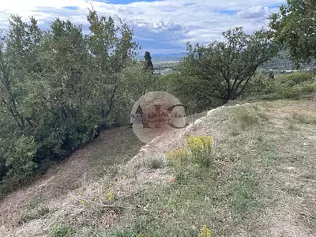 Terrain vente à Arrondissement de Draguignan, Montauroux