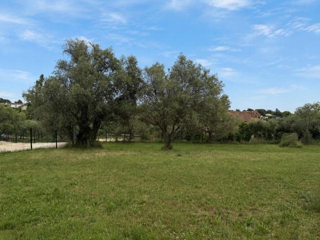 Terrain vente à Montauroux, Var