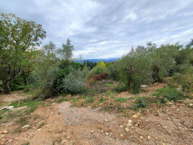 Terrain vente à Montauroux, Var
