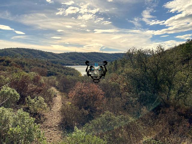 Terrain vente à Arrondissement de Draguignan, Montauroux