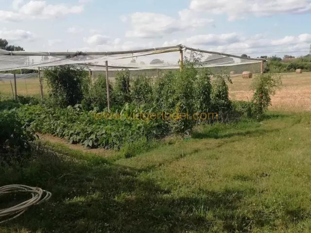 Maison vente à Montauban, Montbeton