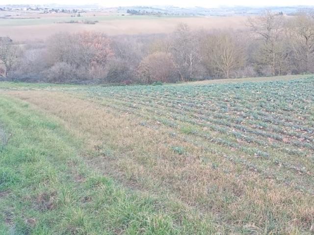 Terrain vente à Toulouse, Montbrun-lauragais