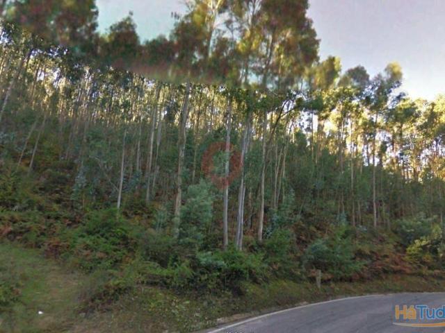 Terreno venda em Melgaço, Viana Do Castelo