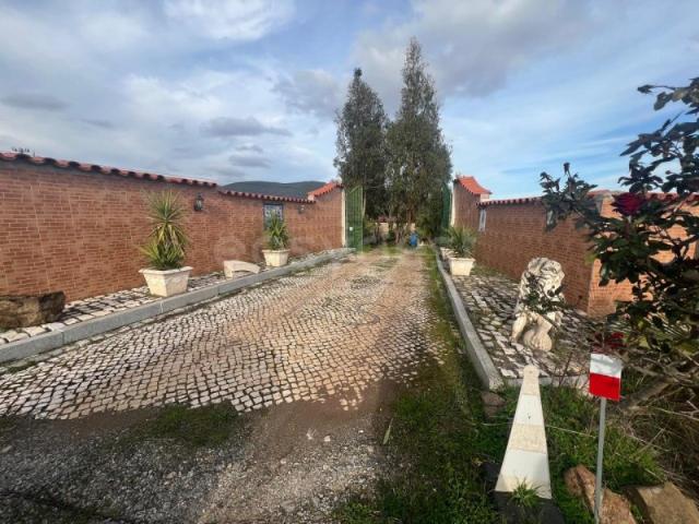 Terreno venda em Vila Verde de Ficalho, Serpa